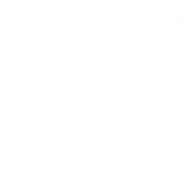 DAM